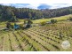 Lot 1 Sculthorpes Road, Nicholls Rivulet TAS 7112