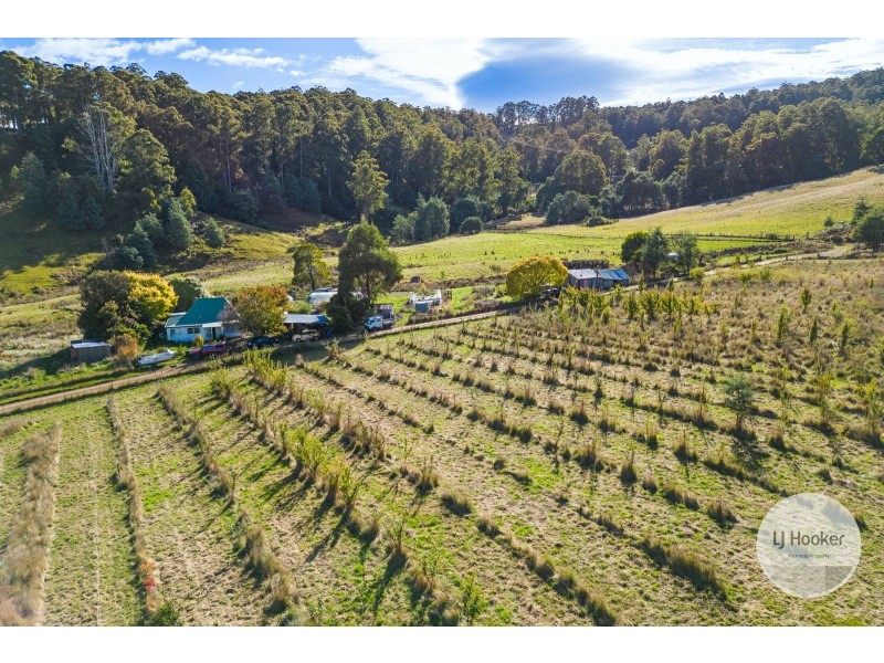 Lot 1 Sculthorpes Road, Nicholls Rivulet TAS 7112