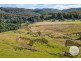 Lot 1 Sculthorpes Road, Nicholls Rivulet TAS 7112