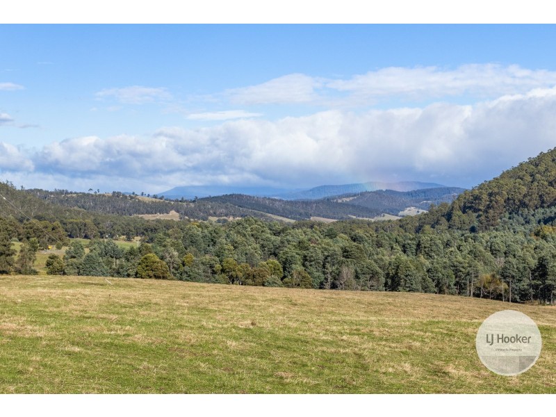 Lots 1 & 2 Lot 1 Sculthorpes Road, Nicholls Rivulet TAS 7112