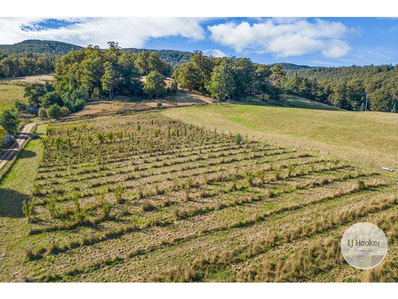 Lots 1 & 2 Lot 1 Sculthorpes Road, Nicholls Rivulet TAS 7112