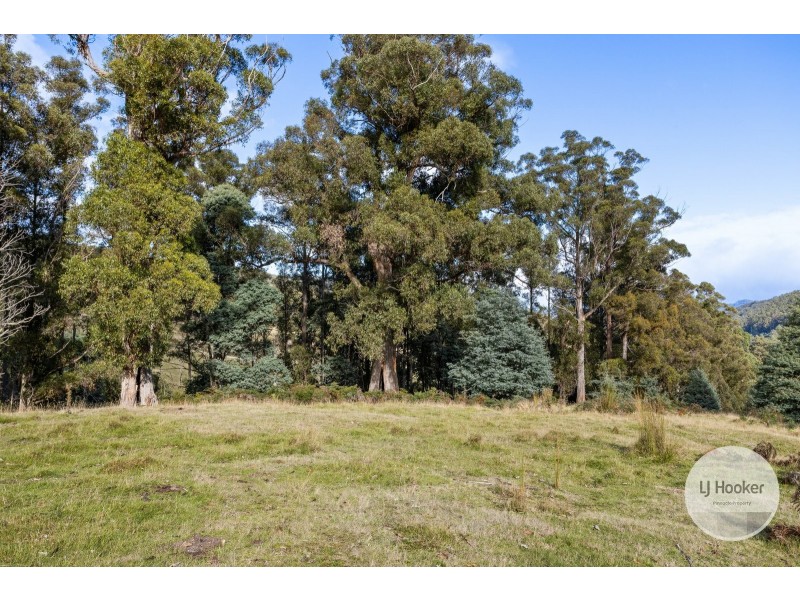 Lots 1 & 2 Lot 1 Sculthorpes Road, Nicholls Rivulet TAS 7112