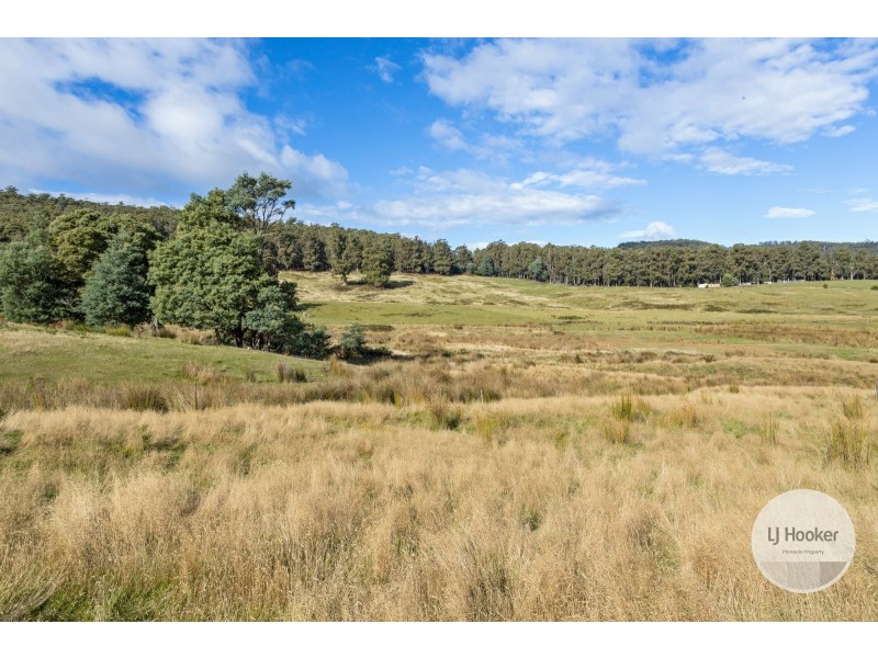 Lots 1 & 2 Lot 1 Sculthorpes Road, Nicholls Rivulet TAS 7112
