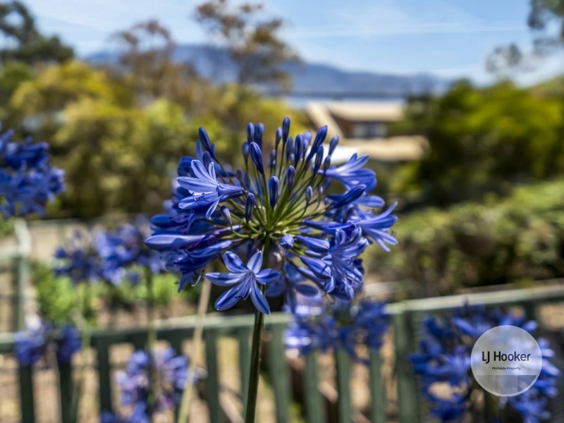 8 Cleburne Street, Risdon TAS 7017