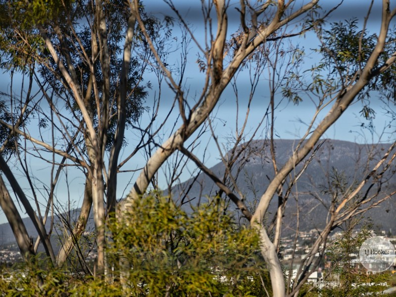 29 Wakehurst Road, Austins Ferry TAS 7011