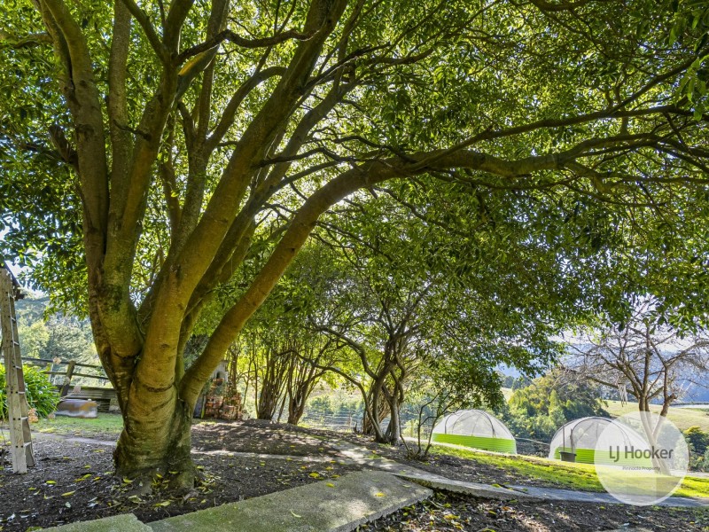 181 Wallace Road, Cygnet TAS 7112