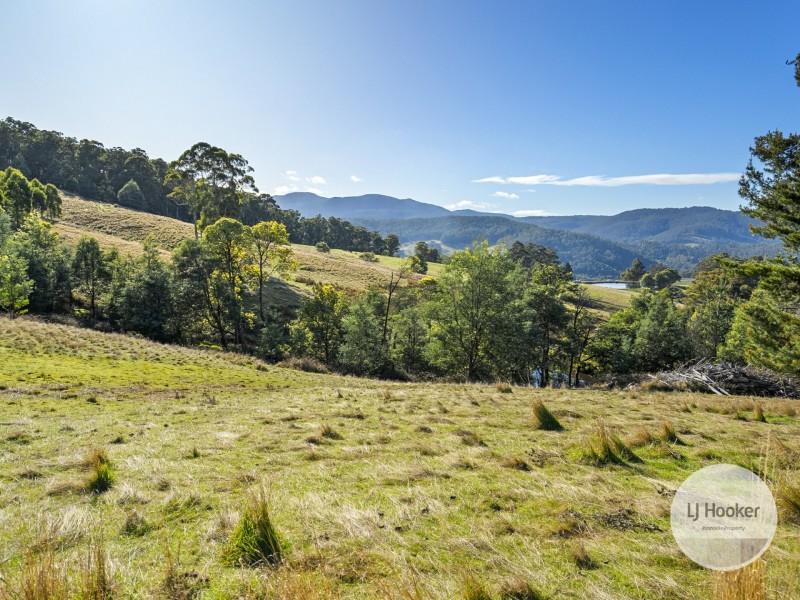 181 Wallace Road, Cygnet TAS 7112