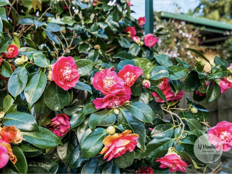 4/6a Willowbend Road, Kingston TAS 7050