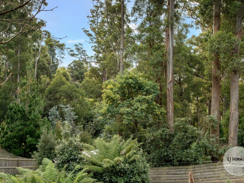 438 Strickland Avenue, South Hobart TAS 7004