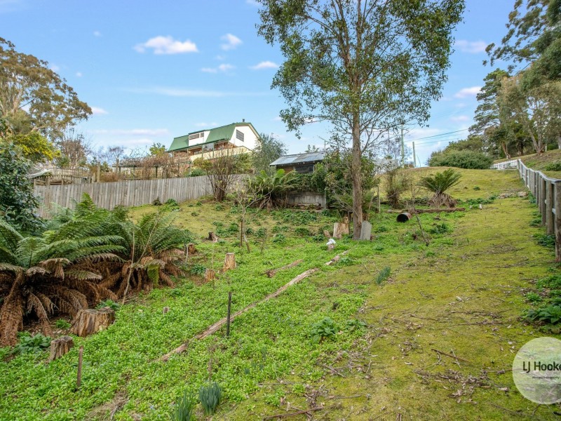 438 Strickland Avenue, South Hobart TAS 7004