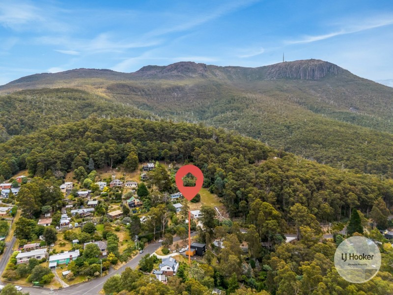 438 Strickland Avenue, South Hobart TAS 7004