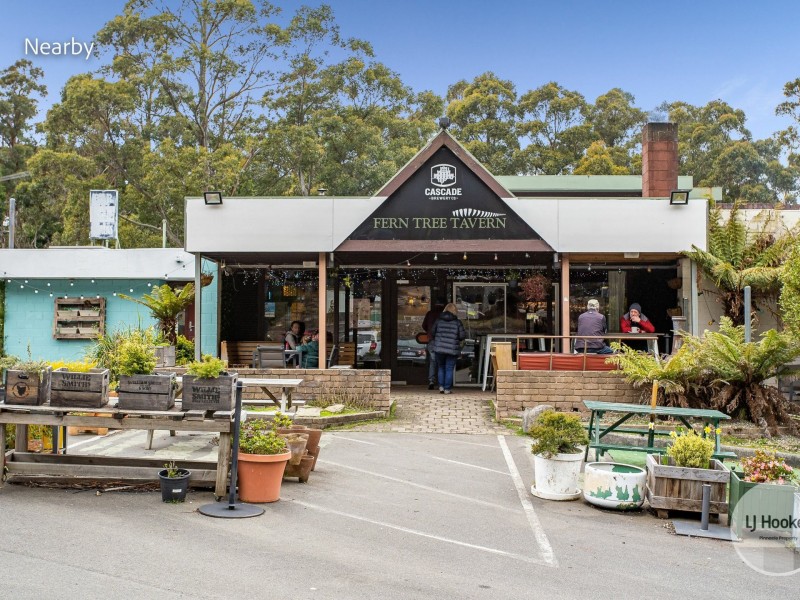 438 Strickland Avenue, South Hobart TAS 7004