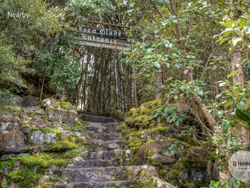 438 Strickland Avenue, South Hobart TAS 7004