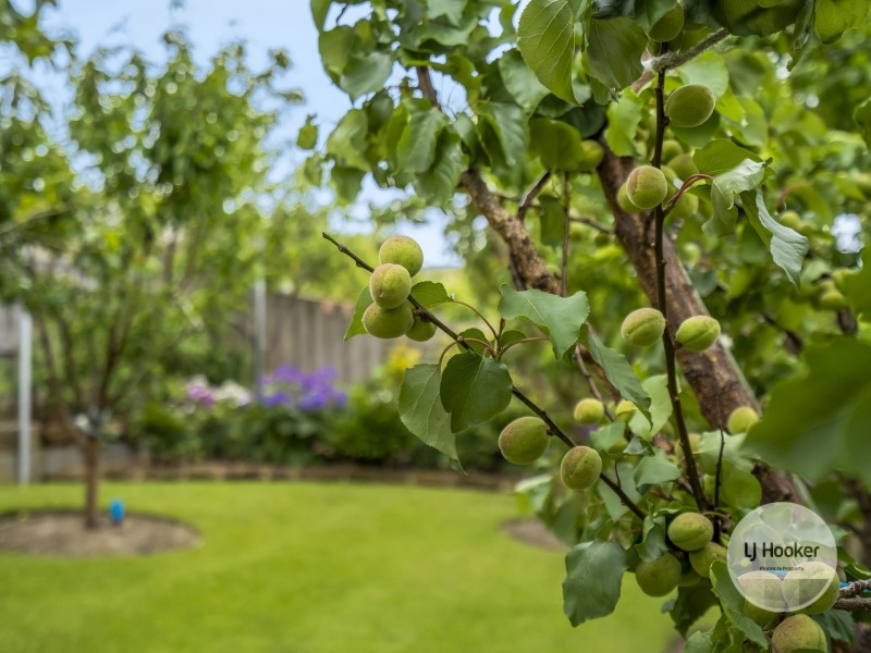 6 Mirool Place, Moonah TAS 7009