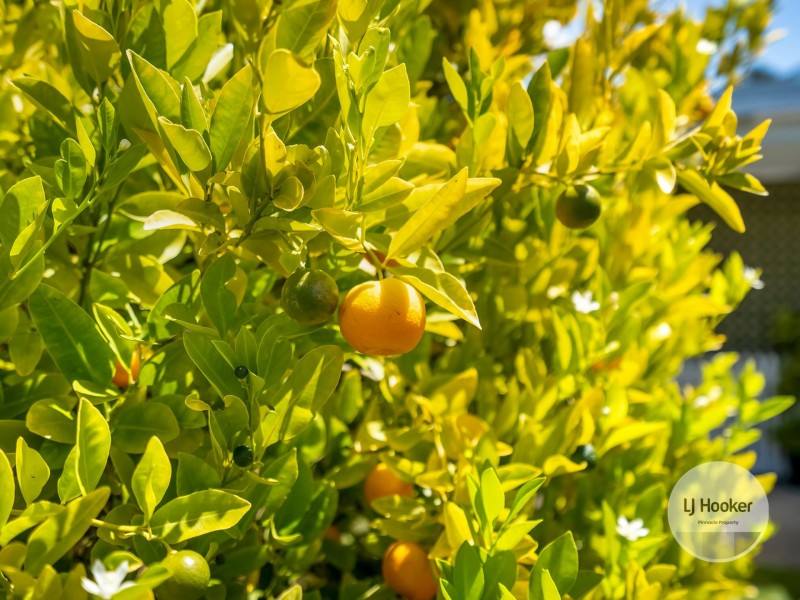 14 Morrisby Road, Old Beach TAS 7017