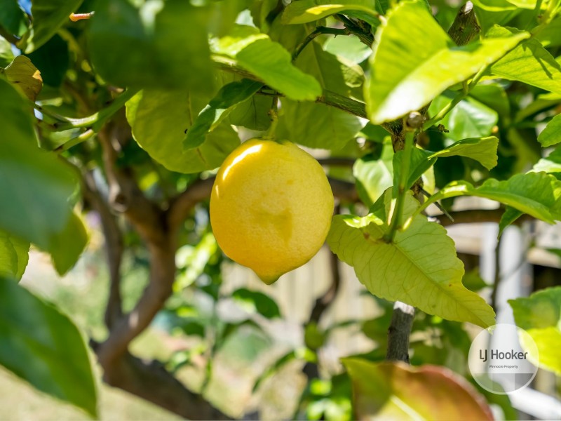 14 Morrisby Road, Old Beach TAS 7017