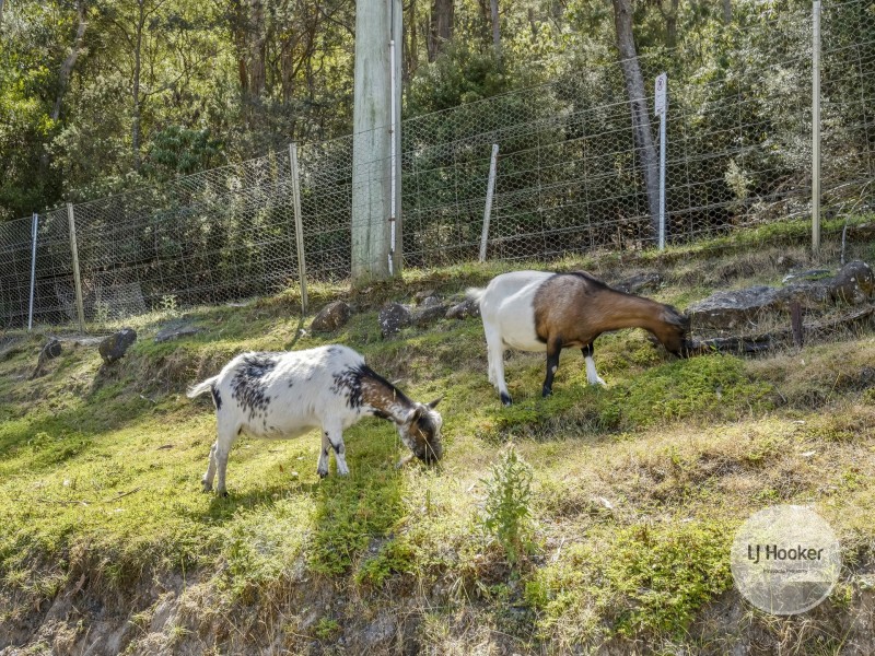 20 Old Farm Road, South Hobart TAS 7004