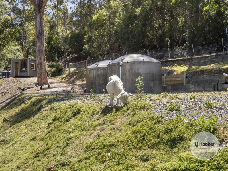 20 Old Farm Road, South Hobart TAS 7004