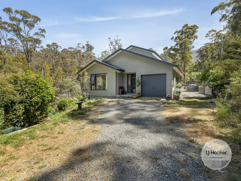20 Old Farm Road, South Hobart TAS 7004