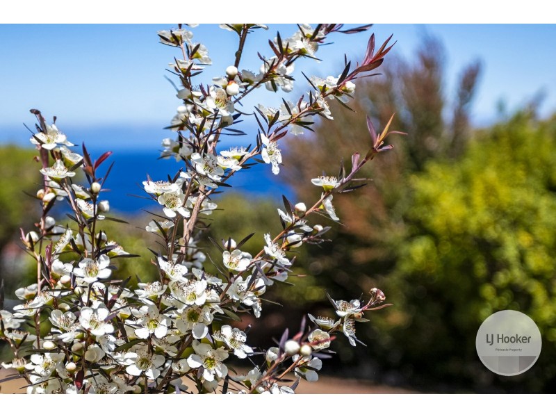 42 Tingira Road, Blackmans Bay TAS 7052