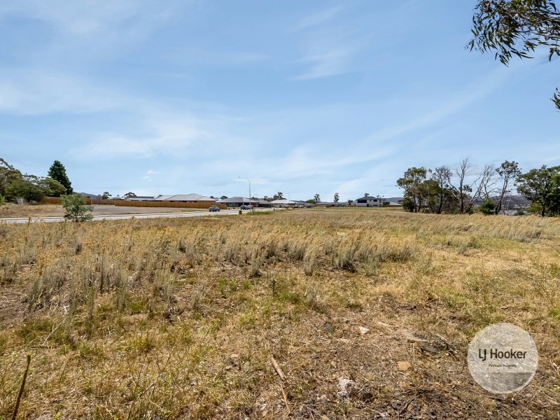 50 Stony Point Drive, Austins Ferry TAS 7011