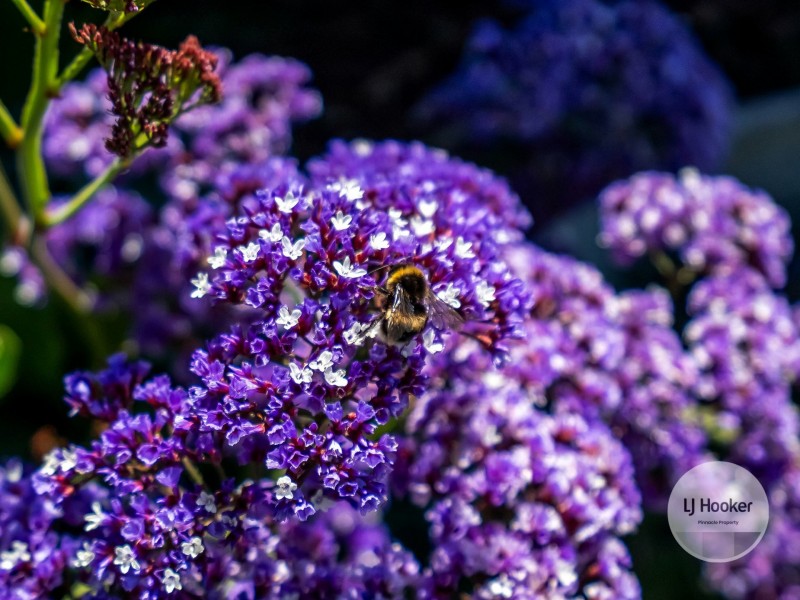 8 Lotus Court, Margate TAS 7054