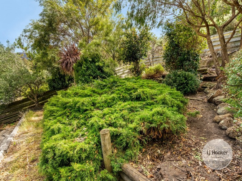 12 Syme Street, South Hobart TAS 7004