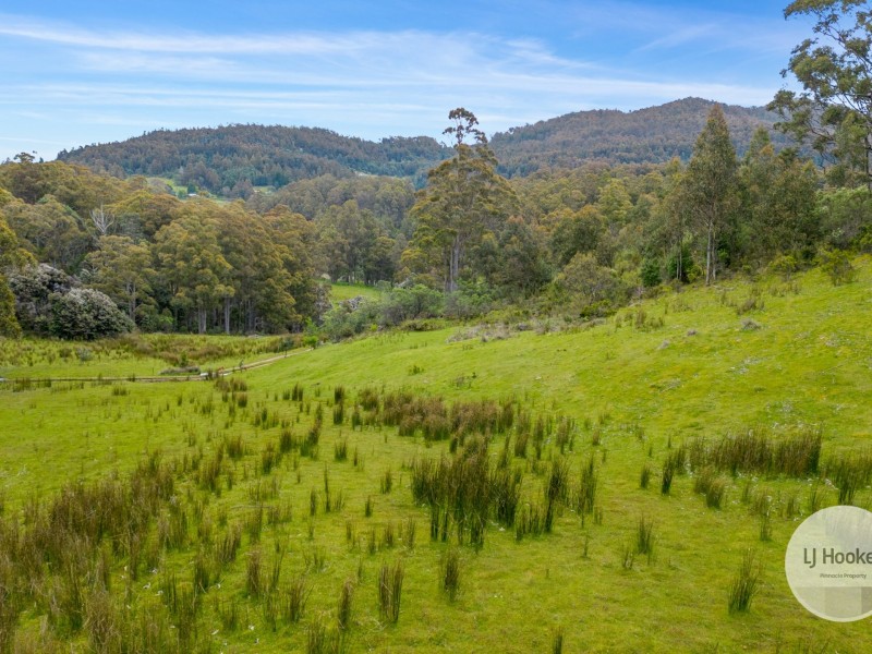 51 Pioneer Road, Kaoota TAS 7150