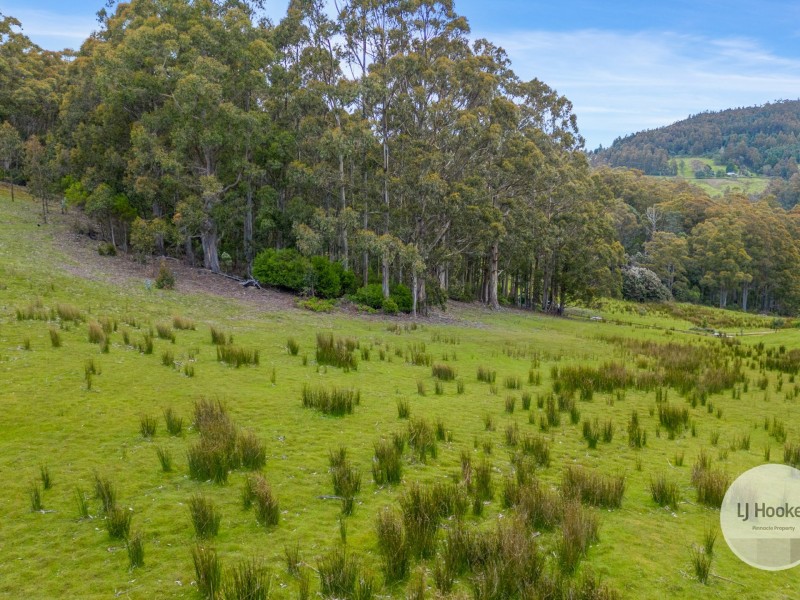 51 Pioneer Road, Kaoota TAS 7150