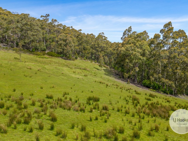 51 Pioneer Road, Kaoota TAS 7150