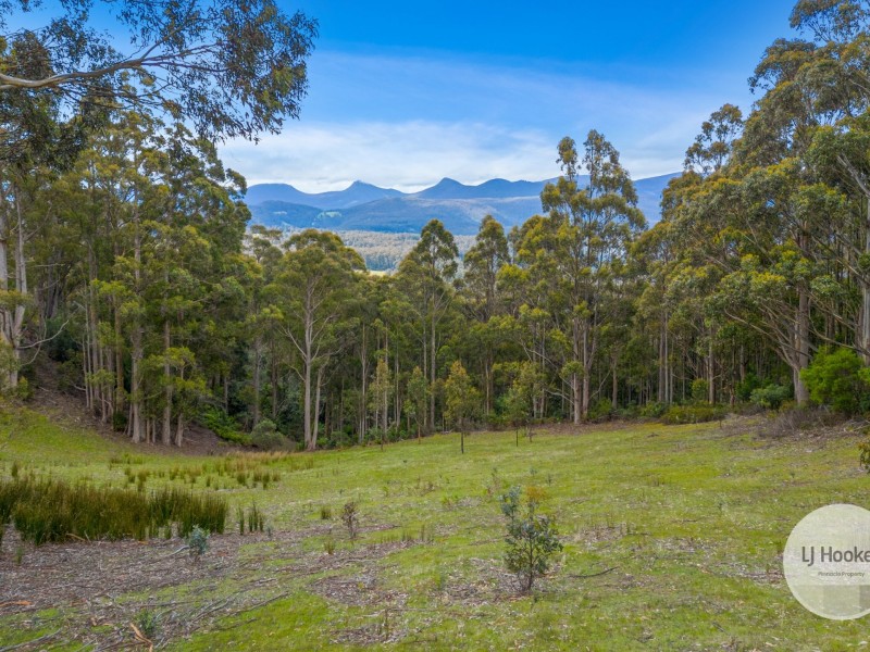 51 Pioneer Road, Kaoota TAS 7150