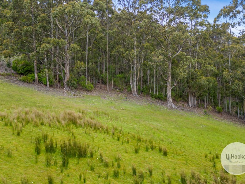 51 Pioneer Road, Kaoota TAS 7150