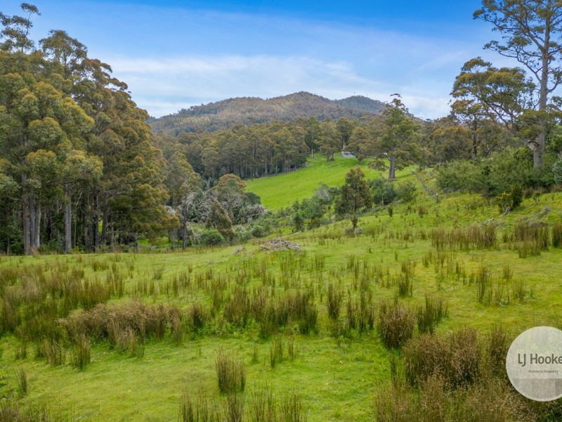 51 Pioneer Road, Kaoota TAS 7150