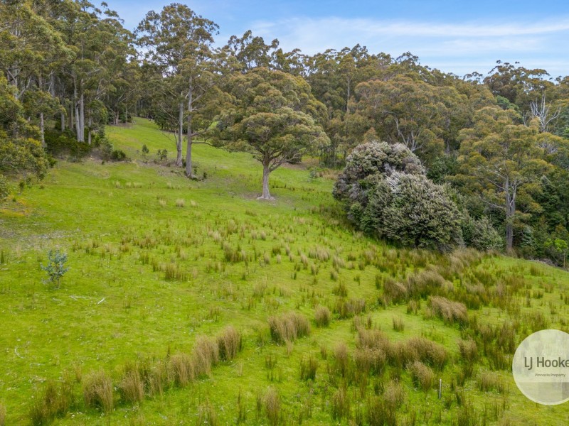 51 Pioneer Road, Kaoota TAS 7150