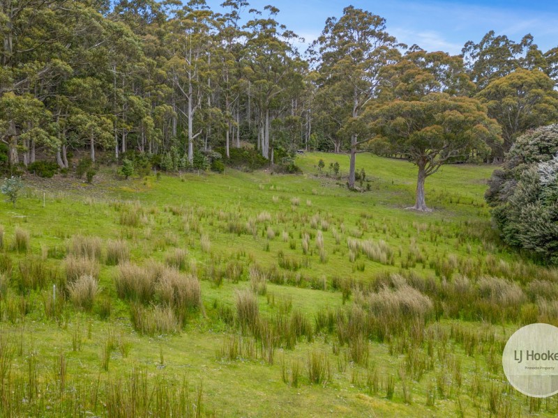 51 Pioneer Road, Kaoota TAS 7150