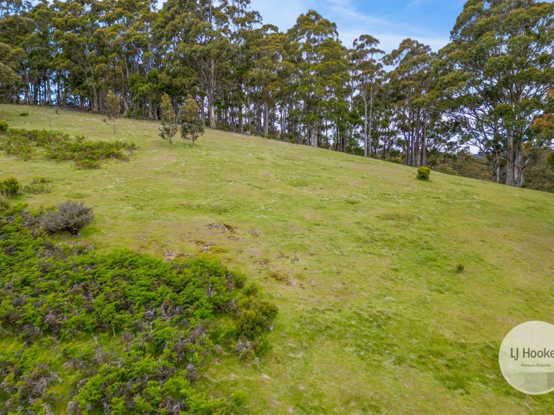 51 Pioneer Road, Kaoota TAS 7150