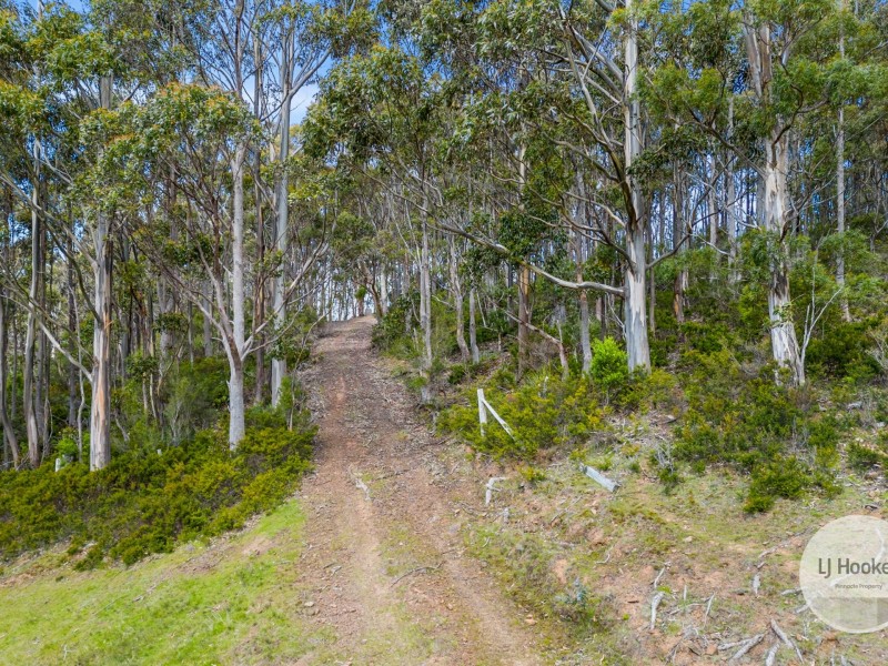 51 Pioneer Road, Kaoota TAS 7150