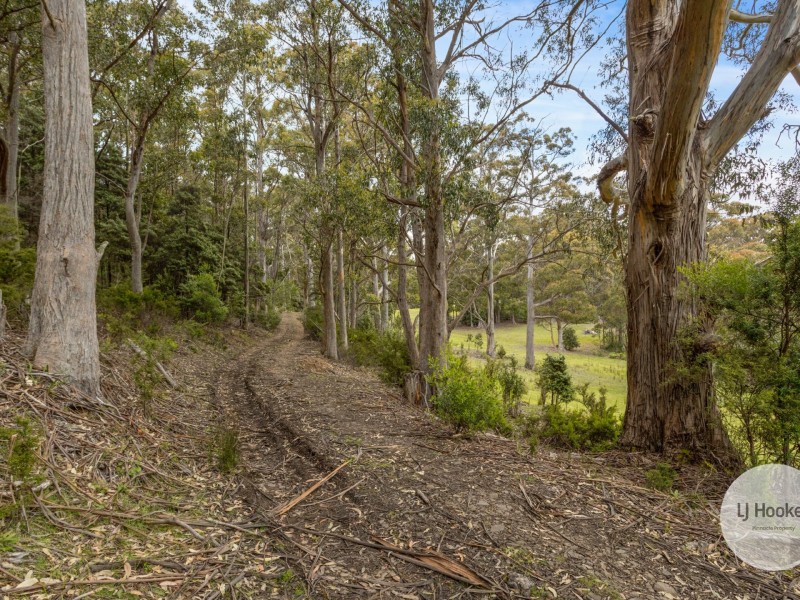 51 Pioneer Road, Kaoota TAS 7150