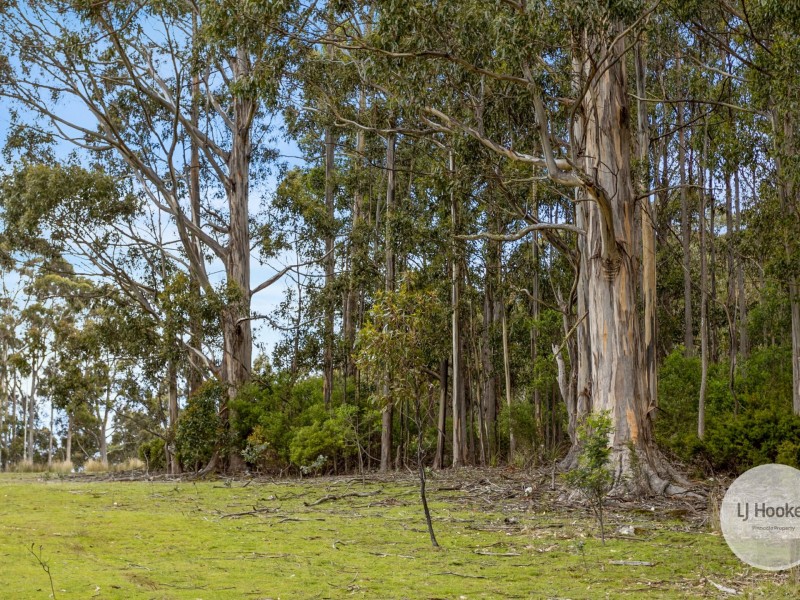 51 Pioneer Road, Kaoota TAS 7150