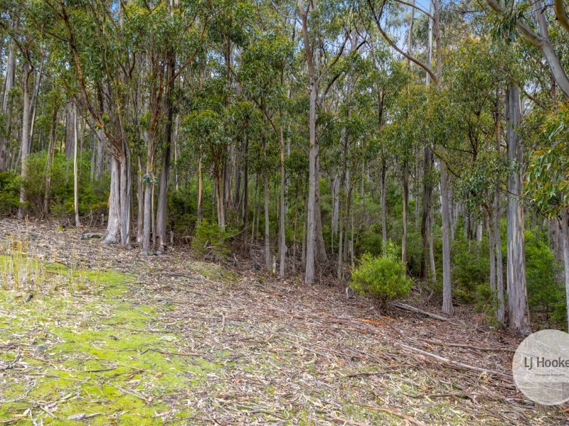 51 Pioneer Road, Kaoota TAS 7150