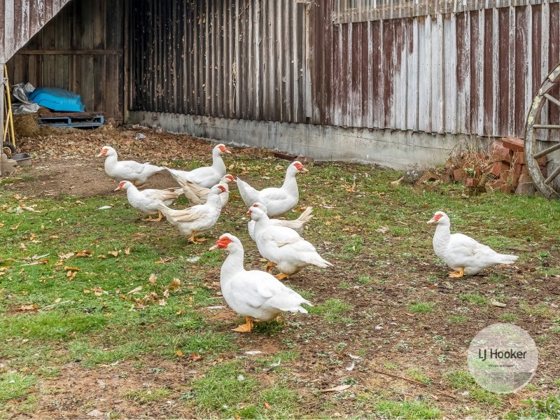 59 Fourfoot Road, Geeveston TAS 7116