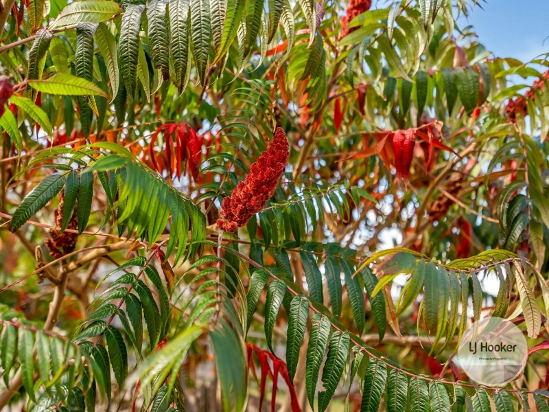 31 Tilyard Street, Montrose TAS 7010