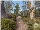 1 Glovers Road, Bothwell TAS 7030
