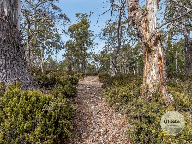 1 Glovers Road, Bothwell TAS 7030