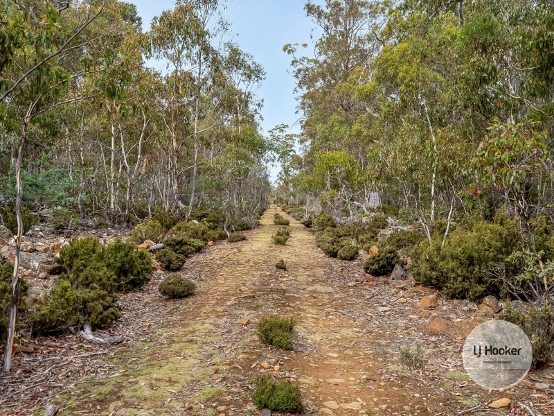 1 Glovers Road, Bothwell TAS 7030