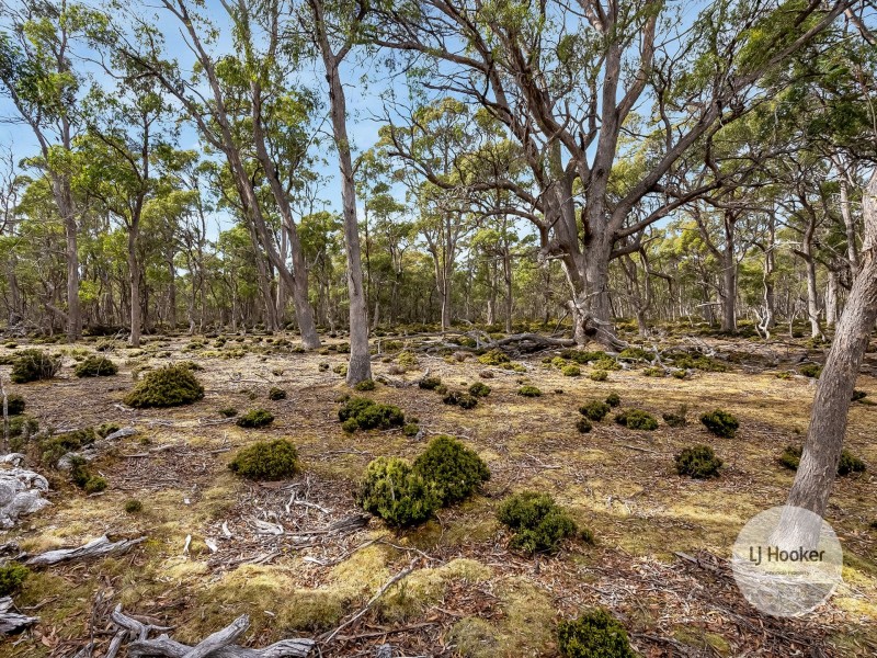 1 Glovers Road, Bothwell TAS 7030