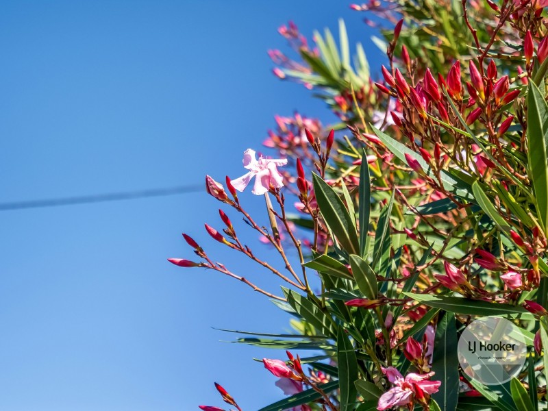 Unit 1/9 McTavish Avenue, North Hobart TAS 7000