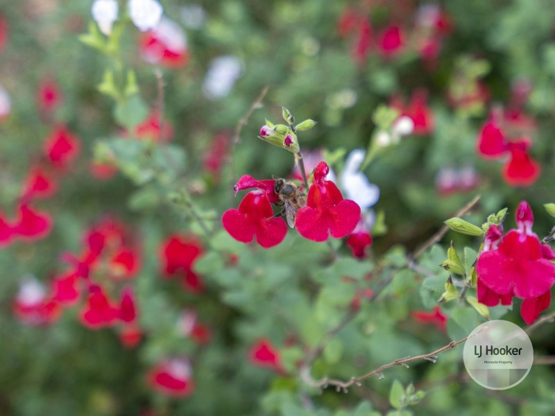 18 Morrisby Road, Old Beach TAS 7017