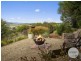 3 Malcolms Hut Road, Richmond TAS 7025