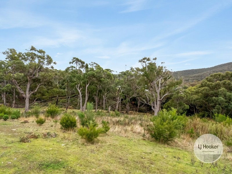 16 Albert Street, Eaglehawk Neck TAS 7179